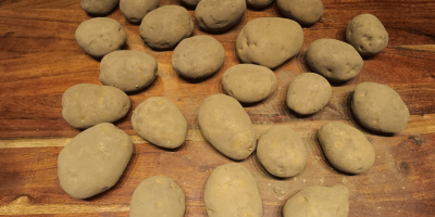 Vendo 500 toneladas de papas Fontane en cajas. Para