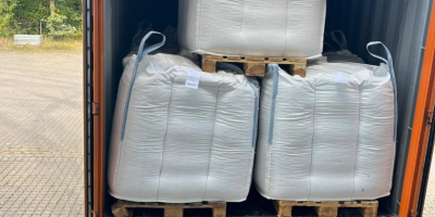 Ofrecemos garbanzos argentinos de calidad Sortex de 7 mm