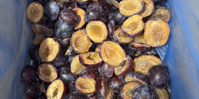 Todos nuestros productos están libres de OGM, se producen