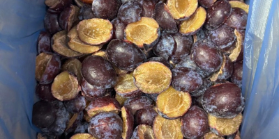 Todos nuestros productos están libres de OGM, se producen