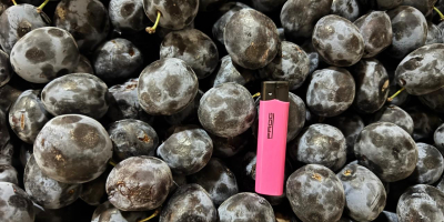 Todos nuestros productos están libres de OGM, se producen