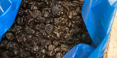 Vendo ciruelas secas Ashlock 90/100 País de origen: Chile