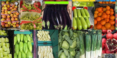 Repollo joven disponible en grandes cantidades. Suministro directo. Calidad