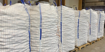 Somos una empresa austriaca que vende cebollas amarillas y