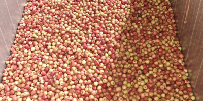 Compraré industria ecológica - roja/verde