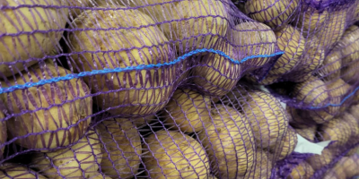 Vendo papas Gala 45+. Son lavables y vienen en