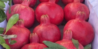 Granada — Ficha técnica (Calidad de exportación) Origen: Azerbaiyán