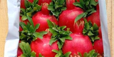 Granada — Ficha técnica (Calidad de exportación) Origen: Azerbaiyán