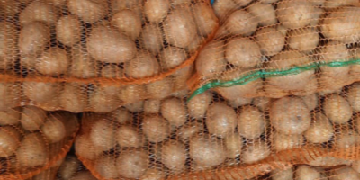 Papas rojas y blancas de consumo en venta, en