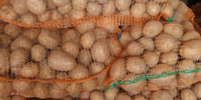 Papas rojas y blancas de consumo en venta, en