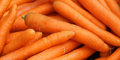 Hola, compramos zanahorias de calibre 2-4. Producto lavado, de