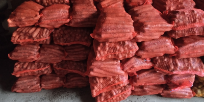 Hola, vendo zanahorias en bolsas, 10 PLN por bolsa,