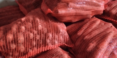 Hola, vendo zanahorias en bolsas, 10 PLN por bolsa,