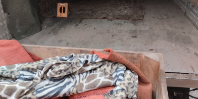 Hola, vendo zanahorias en bolsas, 10 PLN por bolsa,