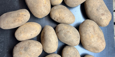 Tengo 10 variedades de papas fritas comestibles y papas