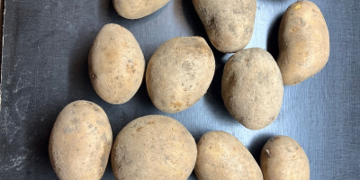 Tengo 10 variedades de papas fritas comestibles y papas