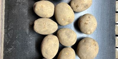 Tengo 10 variedades de papas fritas comestibles y papas