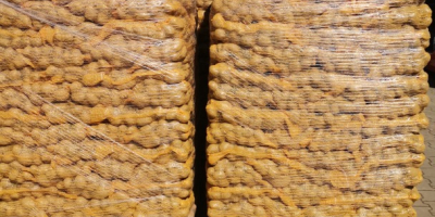 Papas amarillas a la venta, calibre [teléfono] y calibres