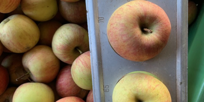 Empresa Fuji 65/75 en la provincia de Udine, Italia