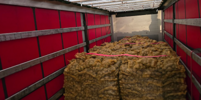 Papas Vinieta Envasadas en sacos de 10 o 15