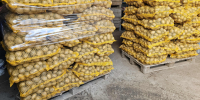 Patatas comestibles Soraya. Zanahorias, perejil, remolacha. Patatas comestibles Soraya