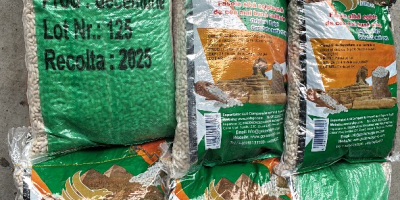 Alubias blancas, saco de 10 kg, calidad A, 180-200/100g,