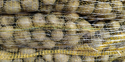 Papas GALA de tierra clara, cepilladas en bolsa cosida.