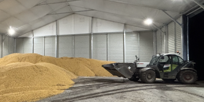 Buenos días, tengo 3.000 toneladas de maíz disponibles de