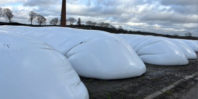 Buenos días, tengo 3.000 toneladas de maíz disponibles de