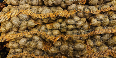 Soraya. Papas amarillas a la venta, más de 50