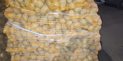 Hola, vendo papas de las variedades Soraya, Melody y