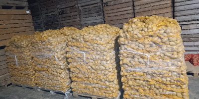 Hola, vendo papas de las variedades Soraya, Melody y