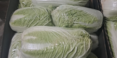 Hola, vendo col china de 0,8-1,8 kg y de