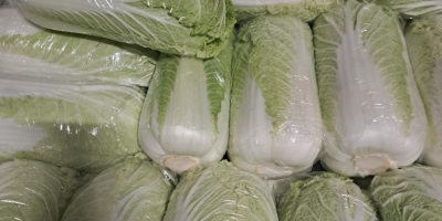 Hola, vendo col china de 0,8-1,8 kg y de