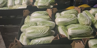 Hola, vendo col china de 0,8-1,8 kg y de