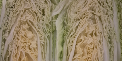 Hola, vendo col china de 0,8-1,8 kg y de