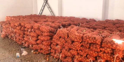 Somos un productor y proveedor confiable de cebollas de