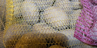 Tengo 24 toneladas de patatas de consumo PARADISO a