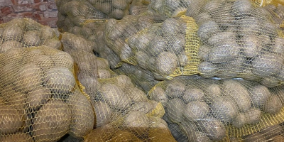 Tengo 24 toneladas de patatas de consumo PARADISO a