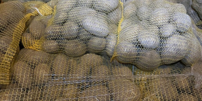 Tengo 24 toneladas de patatas de consumo PARADISO a