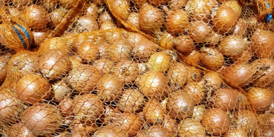 Venderé cebollas. [teléfono]