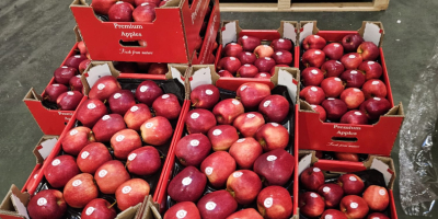 Vendo manzanas de mesa, variedades pequeñas y de segunda: