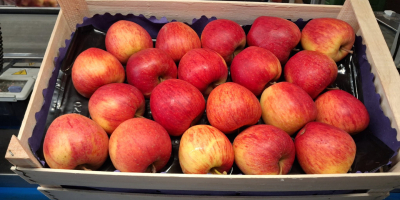 Vendo manzanas de mesa, variedades pequeñas y de segunda: