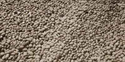 EN VENTA: Papas Baby de 22-40 mm – Gala