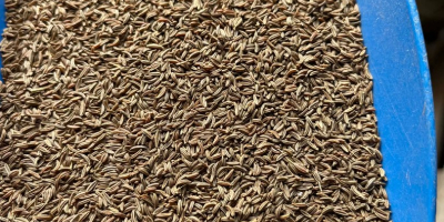 Una finca con muchos años de experiencia en el