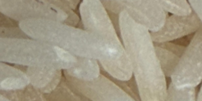 Arroz blanco largo. Origen: Surinam (región del Caribe). Este