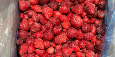 Fresa congelada de origen serbio, variedad Viktoria, cantidad disponible: