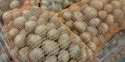 Hola, tengo papas comestibles en venta: - variedad: Lord,