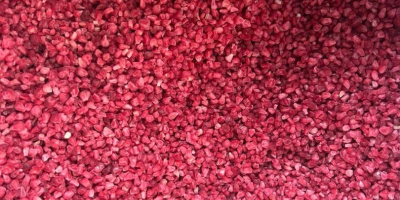 ROKYTNE BERRY es una empresa moderna de procesamiento de