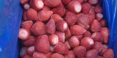 FRAMBUESA